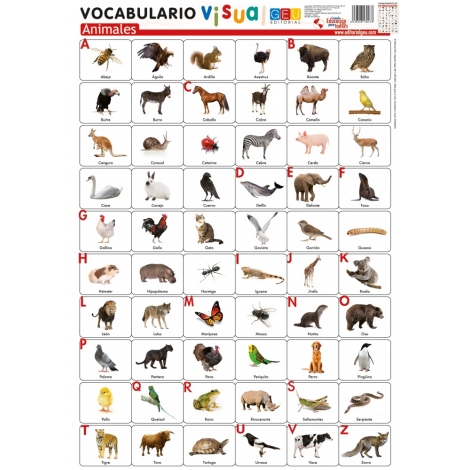 Lámina de vocabulario visual: Animales